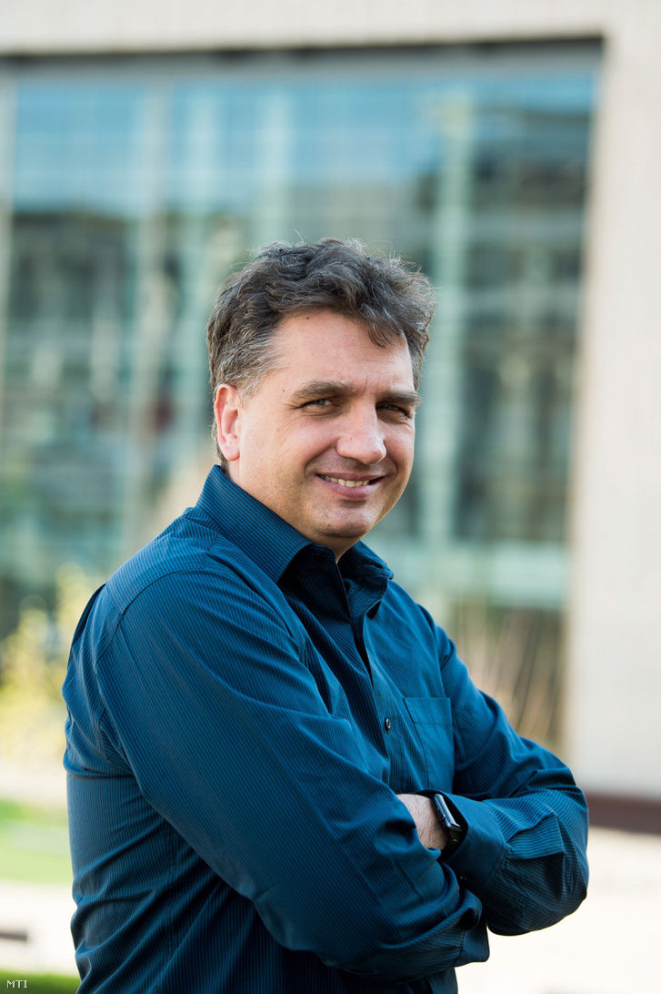 Hamar Zsolt