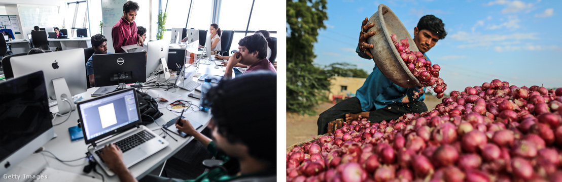 Balra: indiai fejlesztők dolgoznak egy ételszállítós startup mobil-alkalmazásán Jobbra: Hagymát pakol egy földműves Umranában.