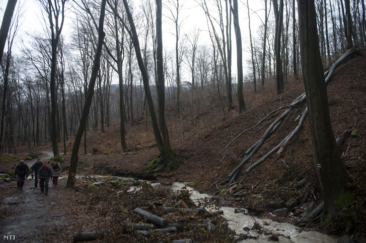 Rám-szakadék