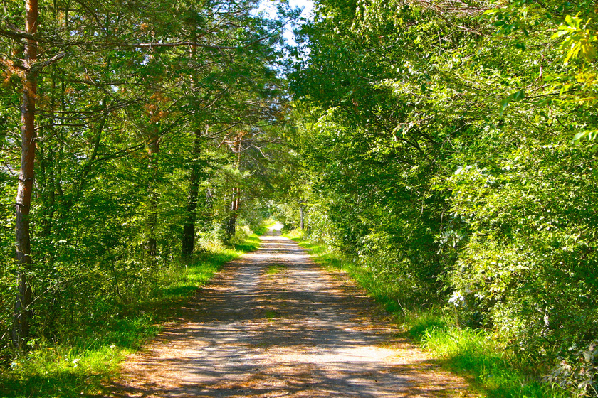 A 6 kilométeres Körtike tanösvény Szalafő-Csörgőszerről indul, végpontja pedig Pityerszer, az út az őrségi kaszálók és erdők élővilágát mutatja be.