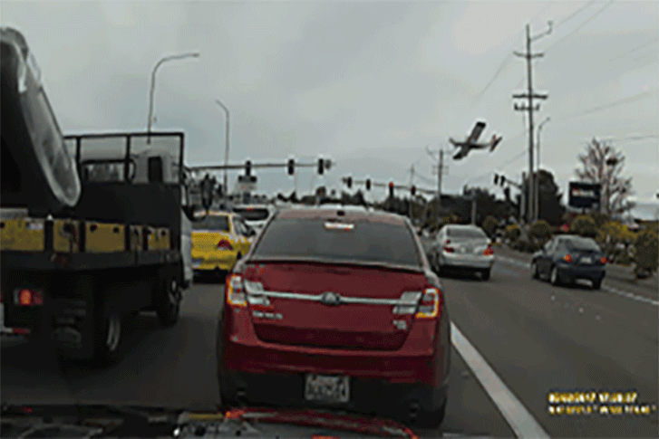 animation.gif