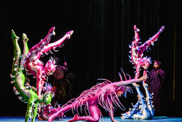 Aki ismeri a Cirque du Soleil előadásait, az szinte elvárja a sajátos és színpompás látványvilágot, a kosztümökben is