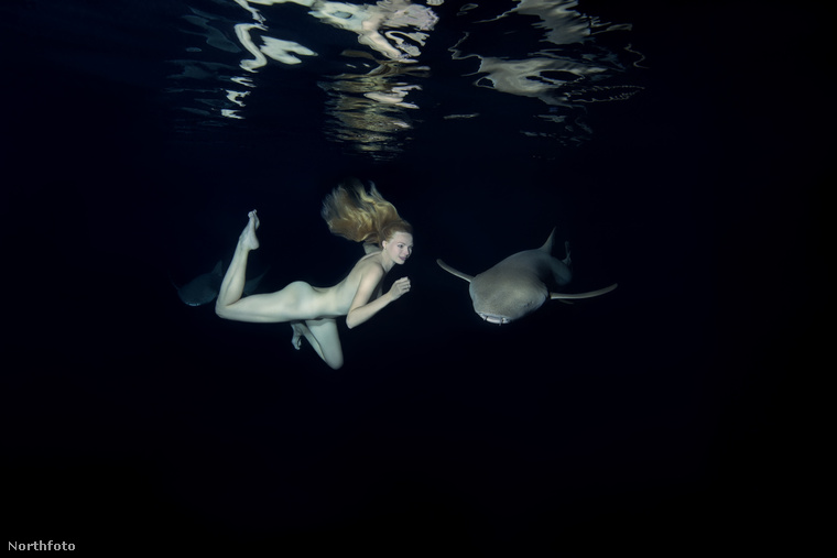 A fotós korábban egy videót is készített a cápákkal haverkodó modellről