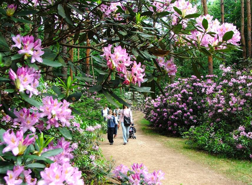 	Ha pedig még több élményre vágysz, a tavaktól mindössze néhány kilométerre található Jeli Arborétumot is érdemes felkeresned, mely káprázatos rododendronjairól híres. Az árakkal és a nyitva tartással kapcsolatban itt tájékozódhatsz.
