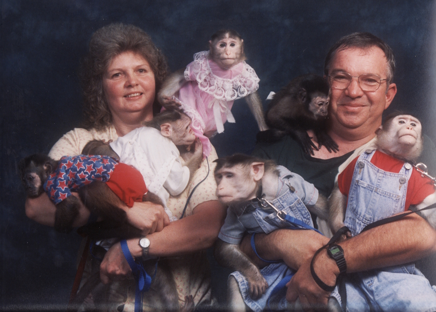 
                        	Ez a pár, ellentétben az előzővel, még a kedvenceit is felöltöztette: öt majommal pózoltak, akik nem biztos, hogy élvezték, sajnos.
                        	 
