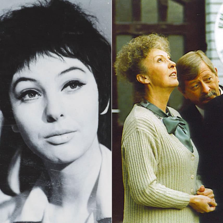 
                        	Fodor Zsóka a tévének köszönhetően vált híressé: kevesen tudják, de 30 évesen, 1972-ben bemondónő lett. Ezt annak is köszönhette, hogy akkoriban Szinetár Miklós volt a Magyar Televízió művészeti vezetője, aki a színésznő osztályfőnöke volt a Színművészeti Főiskolán. A legnagyobb sikert akkor aratta a képernyőn, amikor 1998-tól 2009-ig a Barátok közt Magdi anyusát alakította.