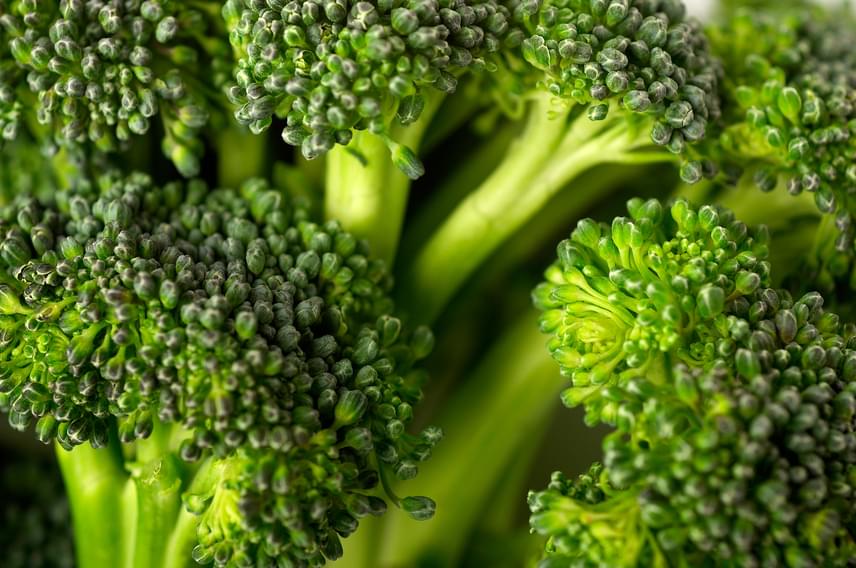 	Bizonyos zöldségek is nagyobb mennyiségben tartalmaznak jódot, ilyen például a brokkoli is, melynek sokszínű felhasználhatósága számtalan lehetőséget biztosít arra, hogy beépítsd étrendedbe.