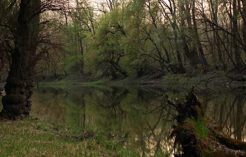 	A Duna-Dráva Nemzeti Park legnagyobb kincse a Gemenci-erdő, amely rendkívüli fajgazdagságáról ismert vidék a Duna-menti ártérben. A népes gímszarvas- és vaddisznó-populáció mellett madárvilága is sokszínű: a tájon fészkel a rétisas, a kerecsensólyom, a békászó sas, a jégmadár és a fekete gólya, de gémtelepek is találhatók a környéken. A gyalogos tanösvények mellett kerékpárral és kisvonattal is bejárható az erdő.