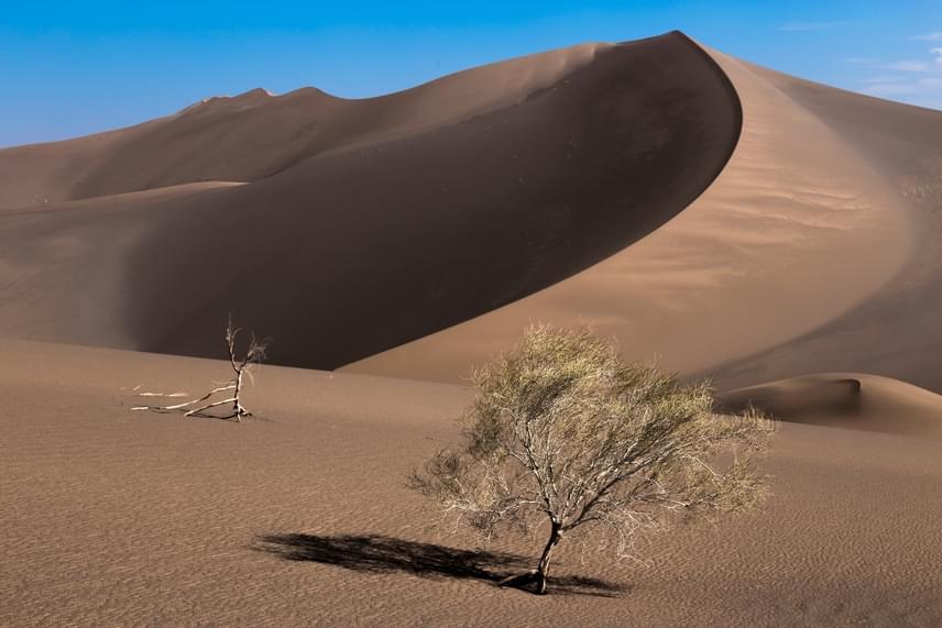 	A Dast-e Lut vagy Lut-sivatag Irán legnagyobb sivataga, amely nyári 70°C-os hőmérsékletével a Föld legforróbb pontjának számít. A csapadékhiányos terület formálásában a szél az úr: ereje alakítja dűnéit, koptatja homokkő szikláit.