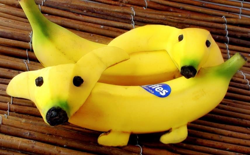 
                        	Egyetlenféle gyümölcs, a banán kell ehhez a nagyon cuki ötlethez. Két kutyához négy banán kell. Két banán tompa végét vágd le úgy, hogy egy éles késsel ügyeskedve formálj fület is a kétoldalt hosszabbra hagyott héjból. A másik két banán héjából ugyancsak éles késsel metssz ki két lábat, és hajtsd le. Helyezd el a banánokat egy tányéron, tedd a fejüket a helyükre. Végül jönnek a szemek: a képen láthatóval ellentétben azokat inkább ételfestékfilccel rajzold be, mert a bors erős, és a gyerek azt is megeheti véletlenül.