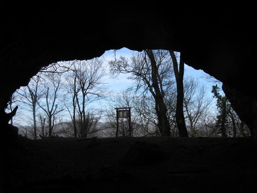	Barlang Csobánkánál	A 65 méter mély Mackó-barlangot, másik nevén Kis-kevélyi-barlangot 1988-ban nyilvánították fokozottan védett természeti értékké a benne megtalált régészeti leletek miatt. Bejárata a Kis-Kevély északi oldalán található. A Pomázról induló, sárga sáv jelzésű turistaúton is elérhető, de Csobánkáról is viszonylag könnyen megközelíthető. Aki arra jár, annak érdemes az izgalmas barlangot is felfedezni.