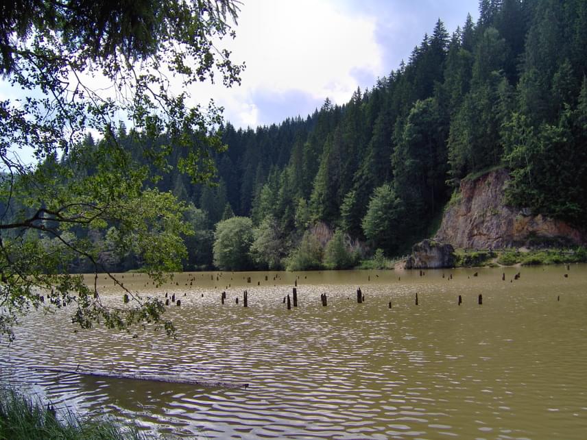 
                        	Gyilkos-tó
                        	A Hargita megyében, Gyergyószentmiklóstól 28 kilométerre, a Békás-patak völgyében fekszik a Gyilkos-tó. A tó a nevét azokról a korábban erdőt alkotó fenyőcsonkokról kapta, amelyek ma is kilátszanak vizéből. A 983 méter magasan fekvő tó legmélyebb pontja 11 méter. A medret mesés sziklacsúcsok ölelik körbe, a festői táj felemelő látványt nyújt minden látogatójának. Nem is csoda, hogy ez Erdély egyik felkapott kirándulóhelye. A megfigyelések szerint a Gyilkos-tó sajnos visszahúzódóban van, minden évben jelentősebb mennyiségű hordalékkal töltődik fel. Ha Erdélybe készülsz, vedd számításba, hogy ezt a tavat látnod kell.