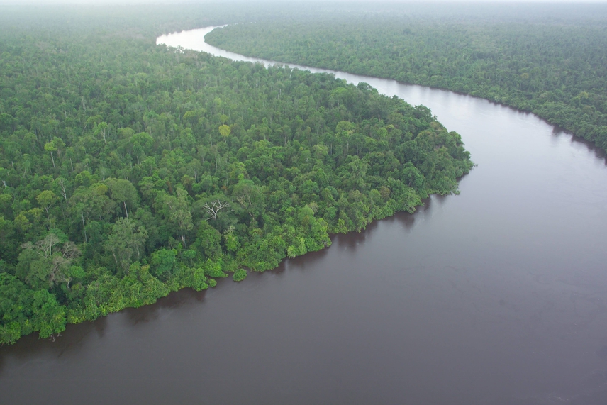 	Sawarak, esőerdő	Az őserdő, Malajzia természeti csodája az ország közel kétharmadát borítja - a hozzávetőleg 200 ezer négyzetkilométeren megszámlálhatatlan fa fáradozik a bolygó oxigénellátásáért. Sarawak Malajzia legnagyobb területű állama, 80%-a trópusi esőerdő. A hatalmas dzsungelt az azonos nevű Sarawak folyó szeli ketté.
