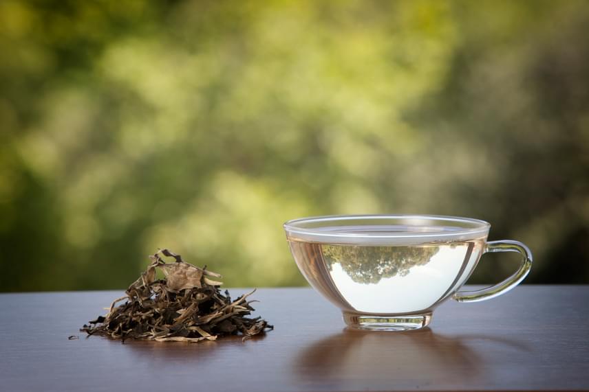 természetes tea zsírégetésre