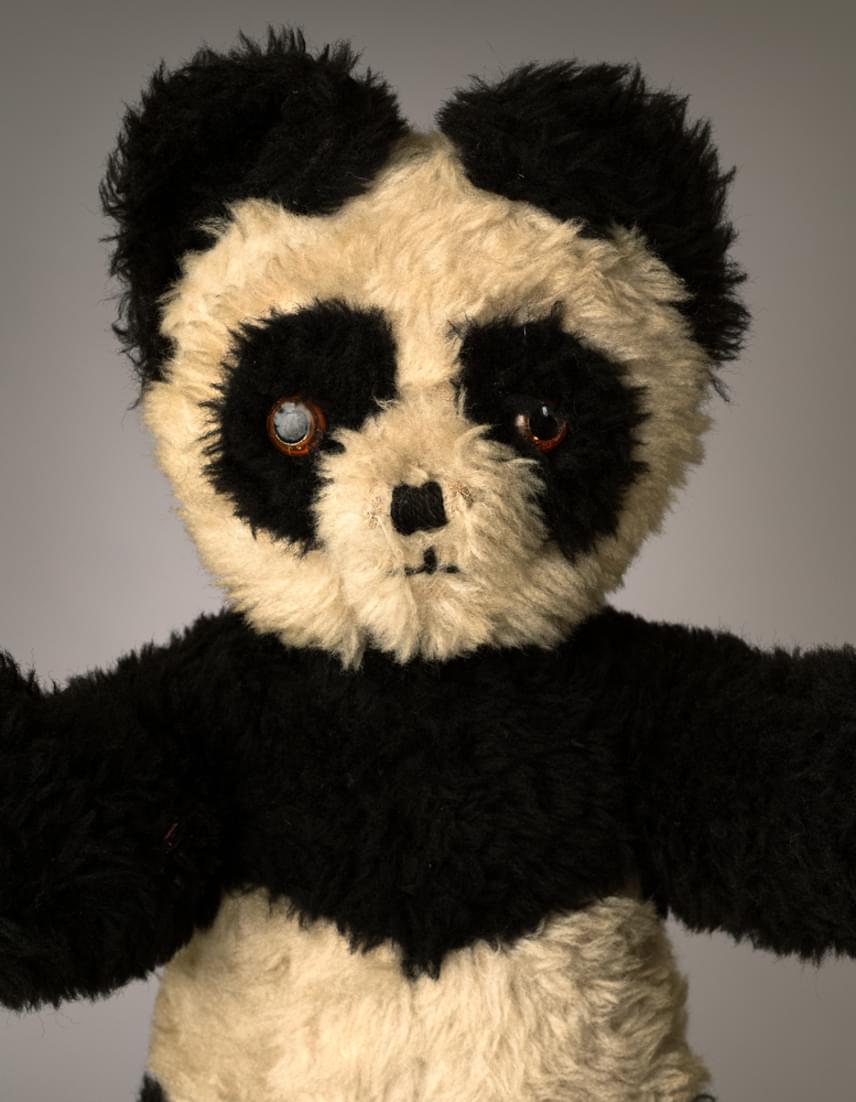 
                        	Panda
                        	Az ötvenéves játékmackó, Panda a fotós Mark Nixoné: "emlékszem, amikor gyerekkoromban ölelgettem az ágyamban, akárcsak a fiam, Calum az ő mackóját. Ez inspirált a fotósorozat elkészítésében. Ahogy nőni kezdtem, minden más érdekelt Pandán kívül - lányok és zene főleg -, éveket töltött a szekrény tetején. Onnan egy dobozba vándorolt a padlásra, és egy ultimátumnak köszönhetően tért vissza a szobámba: vidd el, vagy megy a szemétbe. A gyerekek cuccai közé került, onnan vettem elő a fotó miatt. Azt hiszem, ezentúl a számítógépem mellett fog ülni a stúdióban."