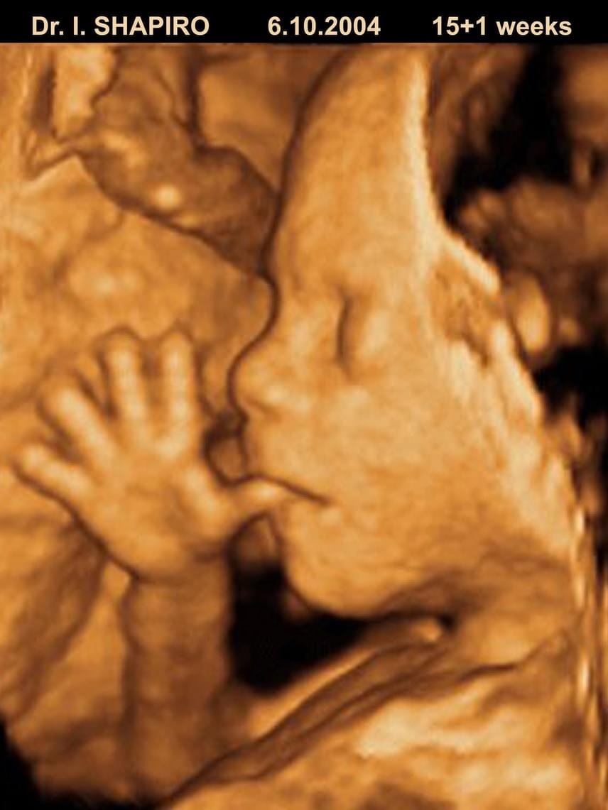 	A terhesség 12. hetétől kezdődő ujjszopizás már a pocakban is remek elfoglaltság egy babának.
