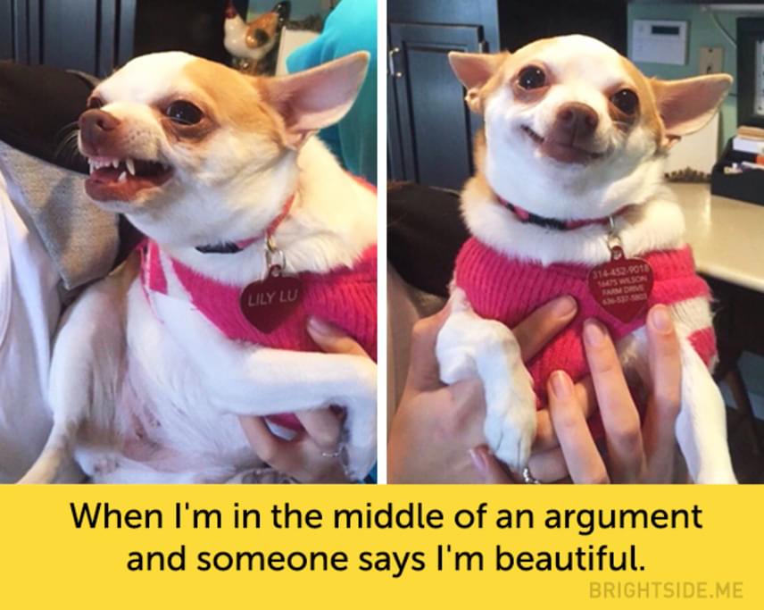 	"Amikor egy vita közepén tartok, és valaki azt mondja, gyönyörű vagyok."