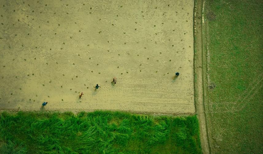 	Banglades természeti adottságai, a nedves trópusi éghajlat kedvező a mezőgazdaság számára, évente többszöri betakarítást is lehetővé tesz. A textiliparban hasznos jutatermelés egyik fő forrása az ország, de gabonát és fűszereket is termesztenek. Amikor épp nem teszi tönkre a termést egy természeti csapás.