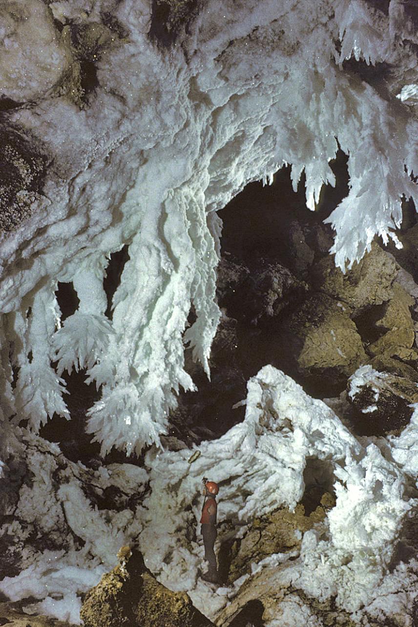 	Az amerikai Új-Mexikóban elterülő Lechuguilla-barlangrendszert egészen 1986-ig jelentéktelen üregeknek tartották, melyet denevérguanó kitermelésre használtak, ám egy hirtelen keletkezett áttörés miatt a föld alól süvöltő levegő elárulta, a barlang jóval hosszabb, mint sejtették. Az újonnan felfedezett járatokban lenyűgöző szépségű formákra bukkantak, melyeket csak kutatói engedéllyel lehetséges sajnos megtekinteni.