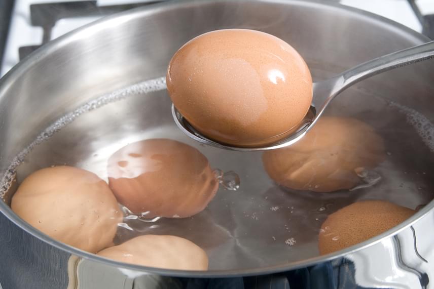 	Ha tojást főzöl, de dobd ki a levét, hanem add a növényeknek, hiszen olyan, a tojáshéjból kioldódott ásványi sókat tartalmaz, amelyekre nagy szükségük van.