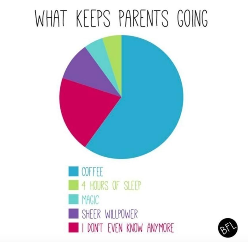 	Mitől működnek a szülők?			Kék: kávé			Zöld: 4 óra alvás			Türkiz: varázslat			Lila: tiszta akaraterő			Rózsaszín: fogalmam sincs