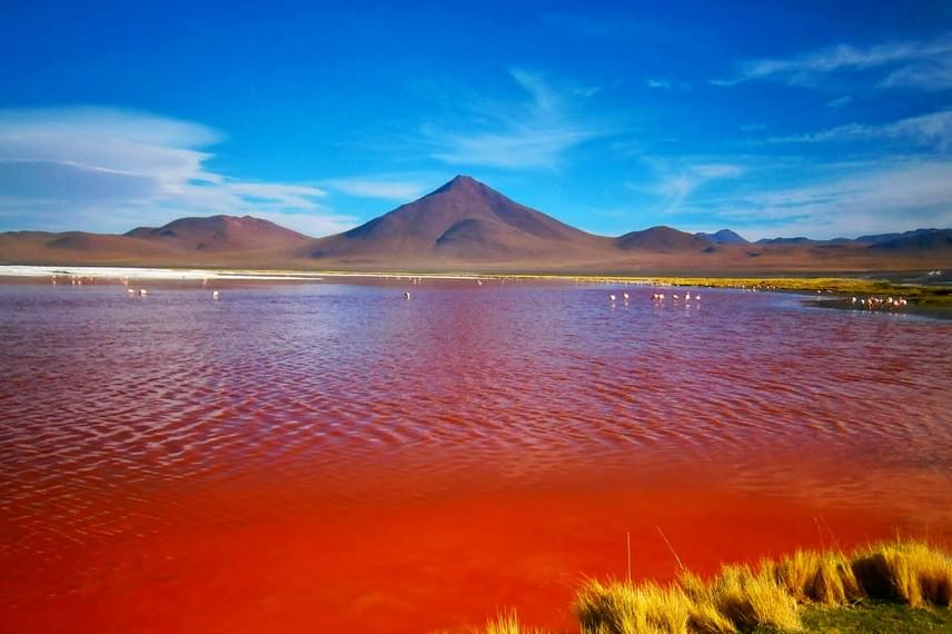 	A Laguna Colorada Bolívia egy sekély, sós vizű tava, melyet a vörös üledék és alga fest vérszínűre. A vízből helyenként hófehér bóraxszigetek emelkednek ki, melyek látványos kontrasztot alkotnak a víz színével. A sekély tavat emellett a flamingók egy ritka szépségű faja is kedveli, melynek tökéletes vadászterületet biztosít a víz.
