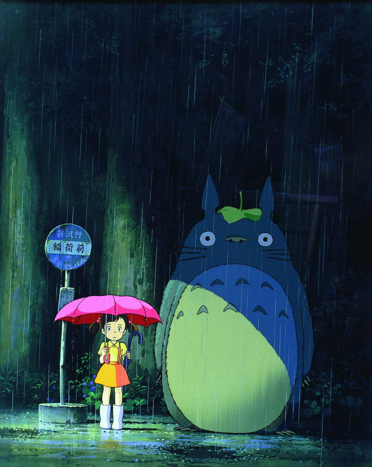 Totoro, a varázserdő titka
