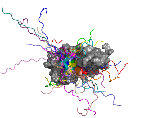 A több mint 30 gén átíródását szabályozó GCN4 transzkripciós faktor (színessel ábrázolva) kapcsolódása a mediátor transzkripciós koaktivátor (Med15, szürkével ábrázolva) alegységéhez. A GCN4 középső része hélix konformációt vesz fel, mely több pozícióban jelenik meg a komplexben. A hélixet szegélyező részek azonban mozgékonyak maradnak, dinamikájuk csökkentése pedig az aktivitást is kedvezőtlenül érinti.