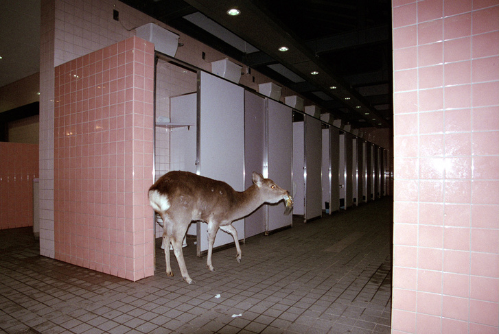Schmied Andi Noguchi Town II
