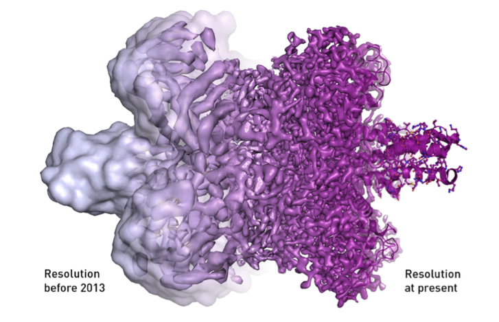 Összehasonlító illusztráció: így látták a nagy fehérjemolekulákat 2013 előtt és után a biokémikusok