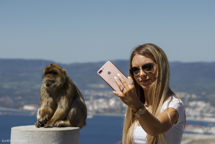 Képünk illusztráció. Egy turista Gibraltáron szelfizik egy majommal 2017 áprilisában.