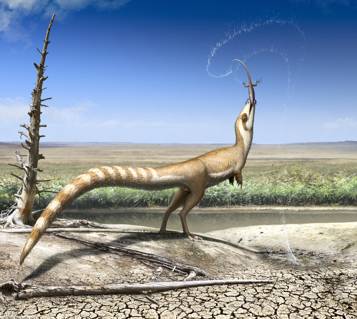 Sinosauropteryx