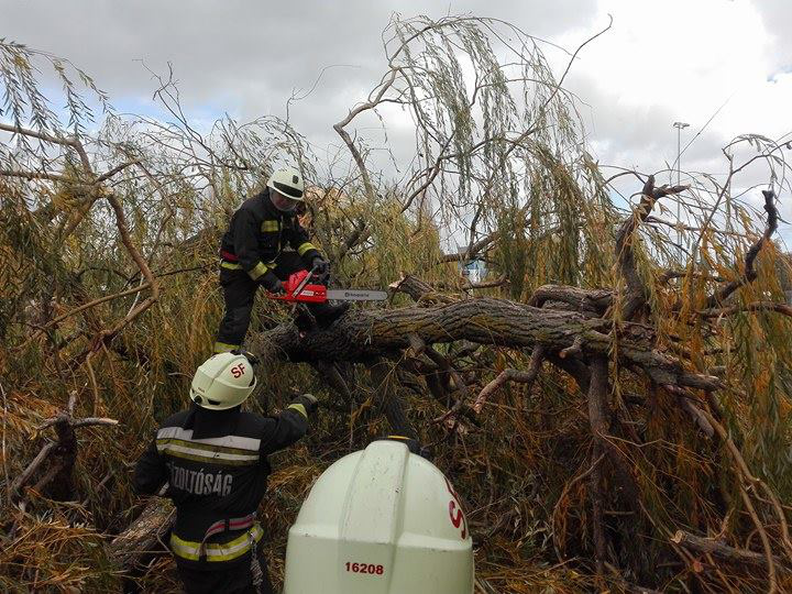 Viharban kidőlt fát fűrészelnek somogyi tűzoltók, október 30-án.
