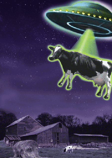 fotoIllo UFO cow.gif
