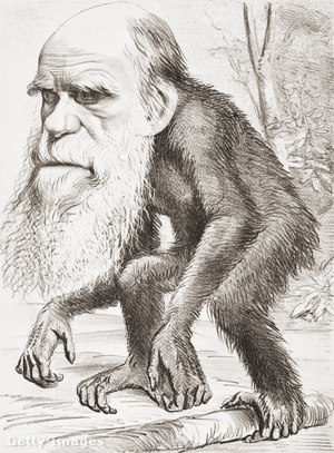 Darwin majomként ábrázolva egy korabeli karikatúrán.