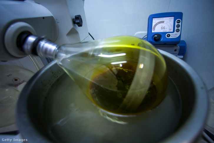 Kannabiszt kevernek olivaolajjal egy izraeli laborban 2016 szeptemberében