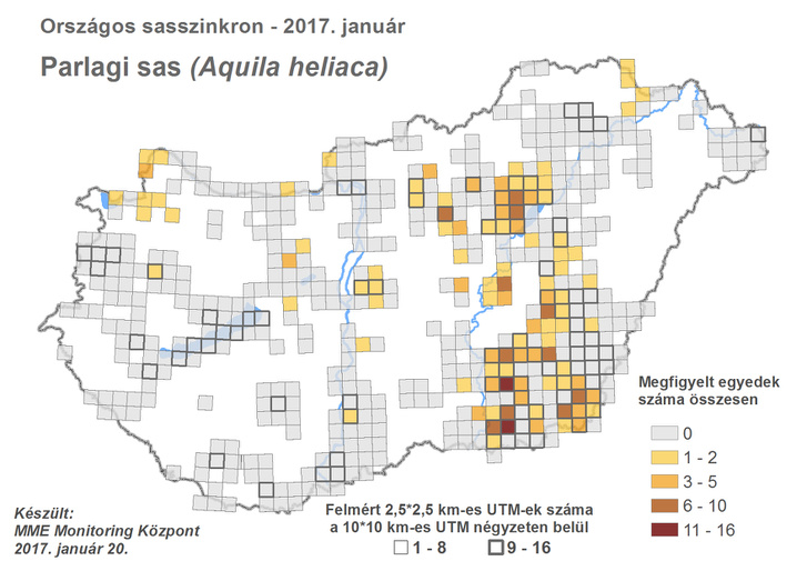 Parlagi sasok előfordulásai 2017-ben