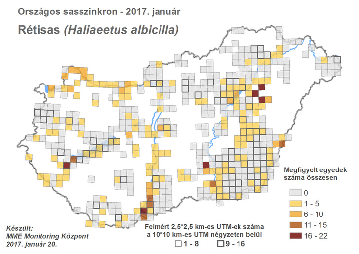 Rétisasok előfordulásai 2017-ben