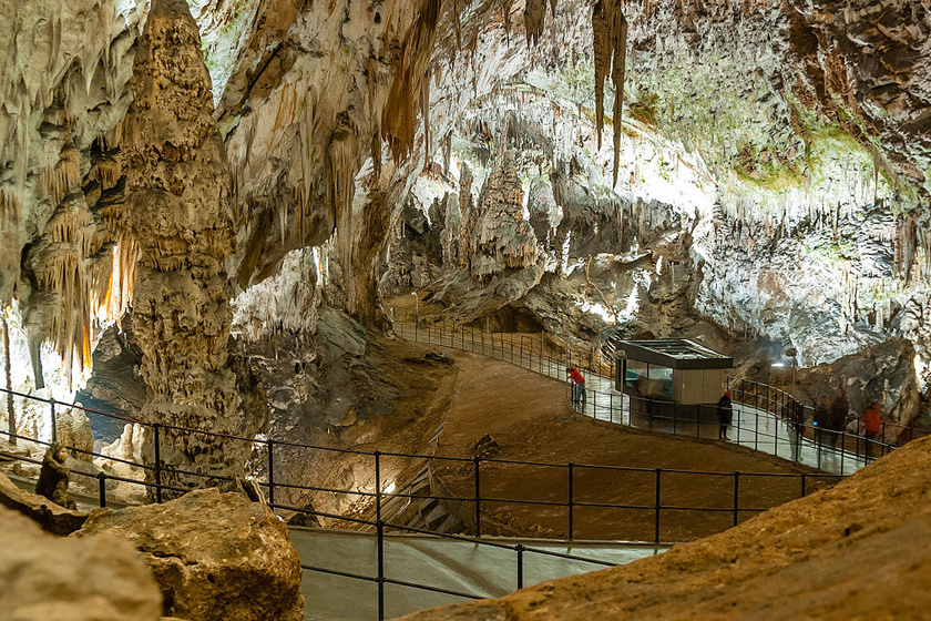 Szlovénia leghosszabb, 24 kilométeres karsztbarlangja a Postojna, melyet kétszáz éve fedeztek fel. A tarka fényekkel megvilágított cseppkőpalotákon kívül a Pivka föld alatti patakot és az állatvilágot is megismerhetik a látogatók.