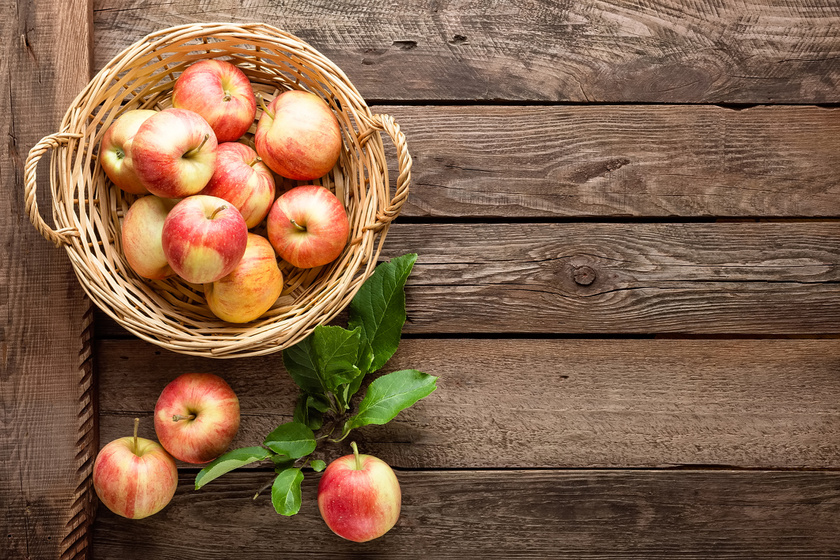 Az alma rosttartalma javítja az emésztést, és lassítja a tápanyag-felszívódást, ezért elnyújtottan biztosítja az egyenletes teltségérzetet.