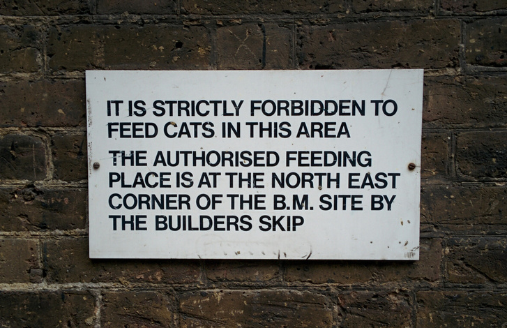 British-Museum-cat-sign