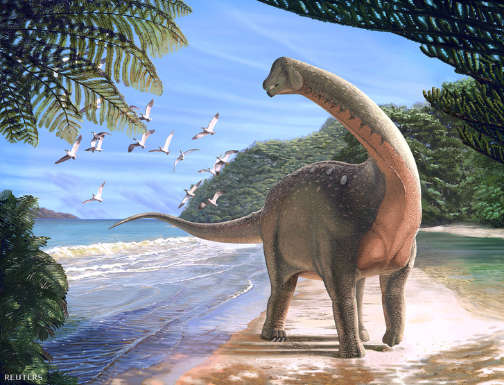 A Mansourasaurus shahinae egy rajzon