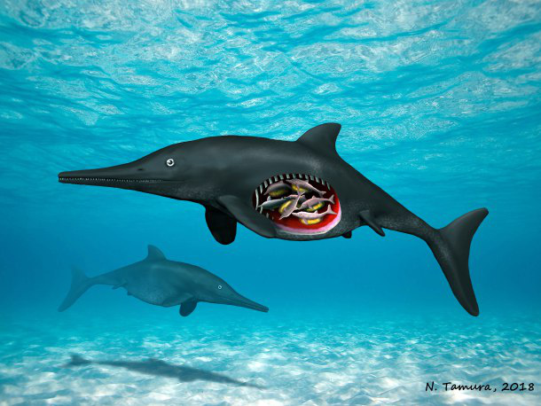 pregnant-ichthyosaur-c-nobumichi-tamura