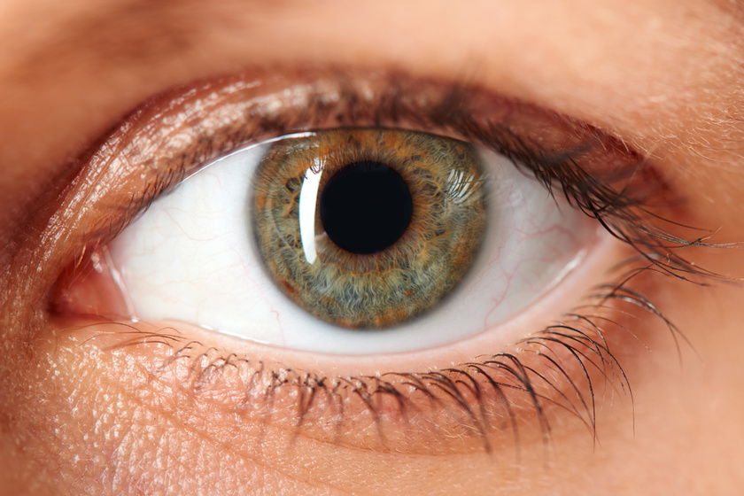 a szem magas vérnyomásának hatása