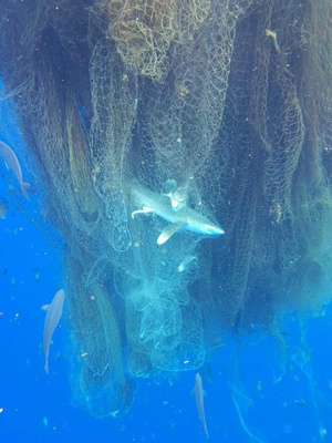 fishing-net-cayman