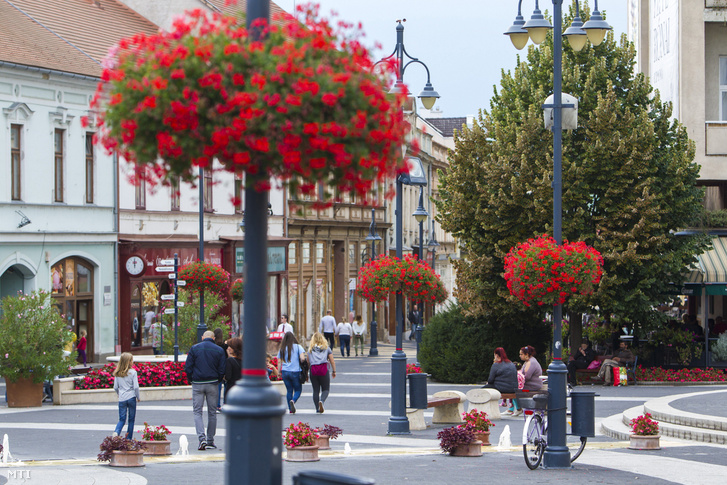 Virágok a Kossuth téren, Kaposvár főterén 2017. szeptember 16-án. A legszebb főtérnek járó különdíjat nyerte el a város az idei Európai Virágos Városok és Falvak Versenyén (Entente Florale Europe). A díjat szeptember 15-én adták át.