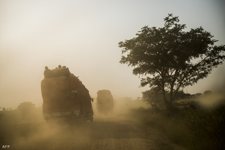 A Virunga Nemzeti Parkon át vezető úton rendszeressé váltak az emberrablások, ezért 2016 óta a hadsereg ellenőrzi a turisták által kedvelt útvonalat. A 2016. július 17-én készült felvételen a kongói hadsereg katonáit szállító teherautók járőröznek a Kiwanja és Kanyabayonga nevű falvakat összekötő útvonalon, a Park területén.