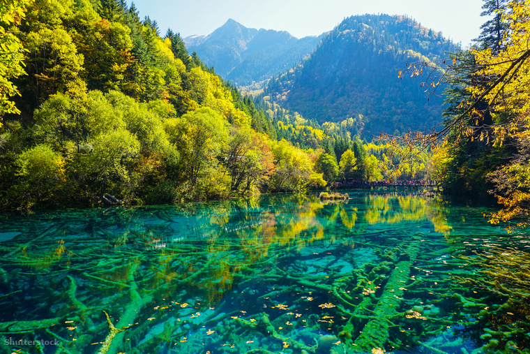 Az Öt virág-tó a kínai Jiuzhaigou Nemzeti Park egyik legnépszerűbb látványossága