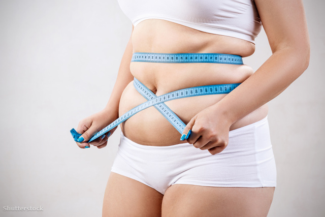 teljes test rutin a fogyáshoz hogyan lehet elveszíteni a zsírt otthon