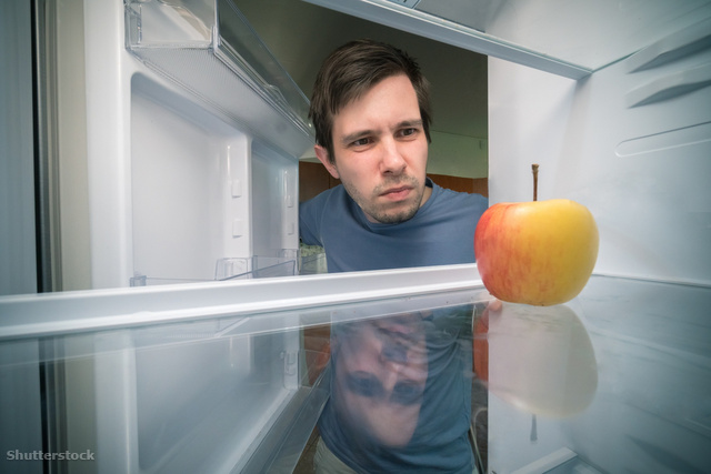 Hogyan készítsd fel a hűtőd a nyaralásodra?
